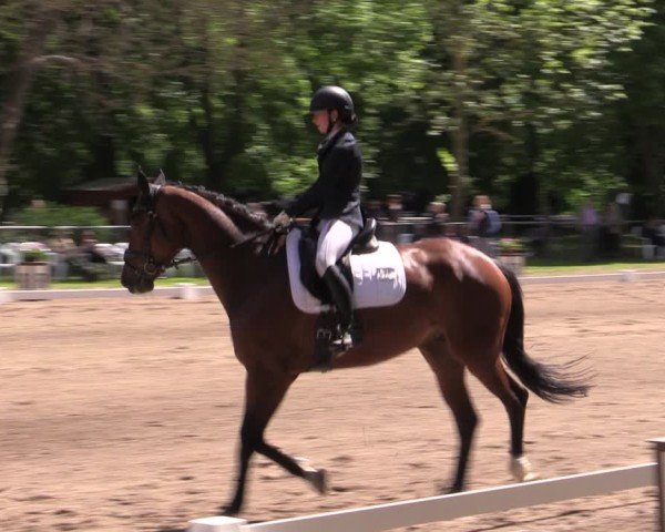 Reitturnier Helmsdorf 2025