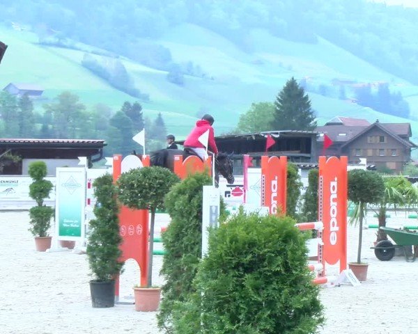 Reitturnier Schüpfheim 2025