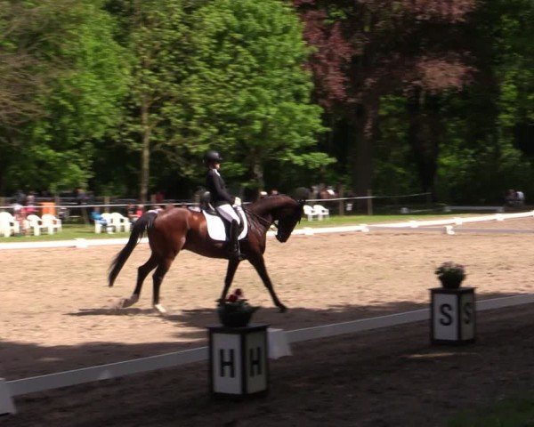 Reitturnier Helmsdorf 2025