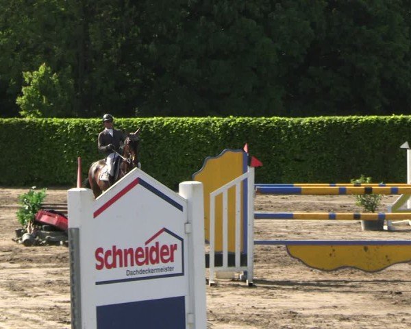 Reitturnier Lentzke - Reitanlage Krehl 2025