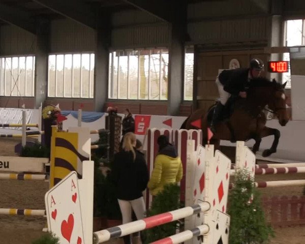 Hallen-Springturnier Greven 2014