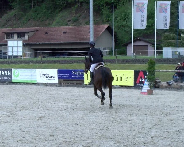Reitturnier Schüpfheim 2025
