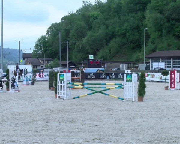 Reitturnier Schüpfheim 2025