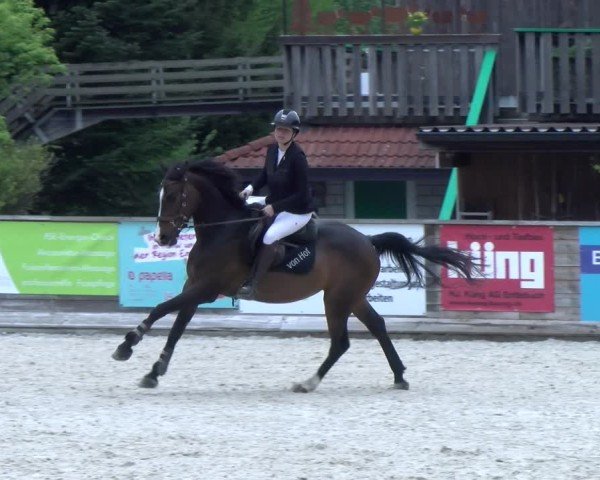 Reitturnier Schüpfheim 2025