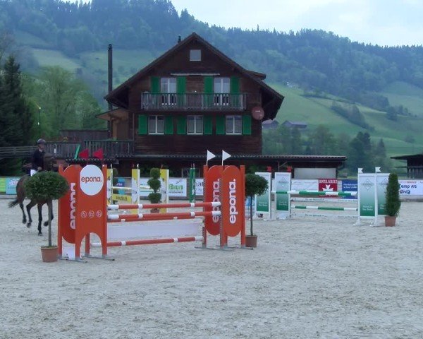 Reitturnier Schüpfheim 2025