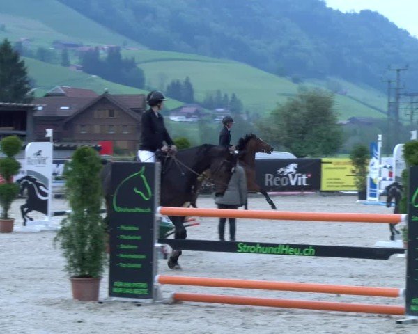Reitturnier Schüpfheim 2025