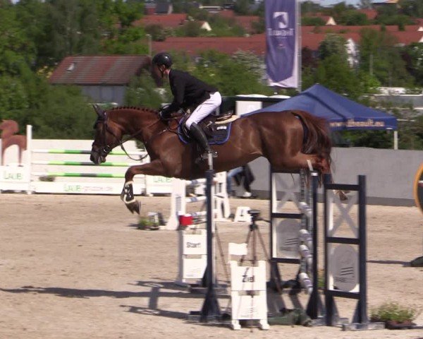 Reitturnier Zwickau 2025