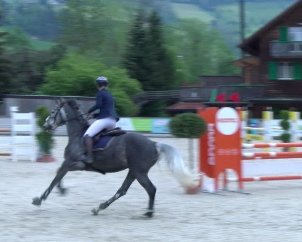 Reitturnier Schüpfheim 2025