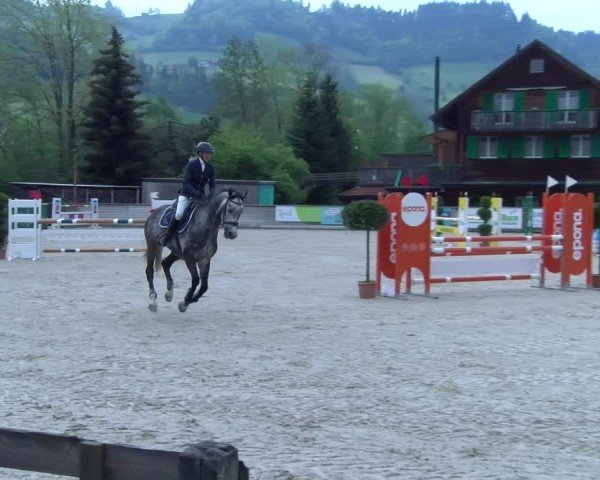 Reitturnier Schüpfheim 2025