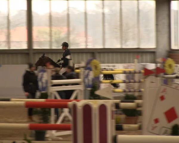 Hallen-Springturnier Greven 2014