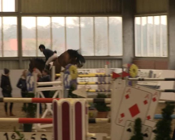 Hallen-Springturnier Greven 2014