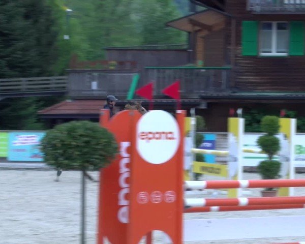 Reitturnier Schüpfheim 2025