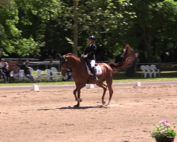 Reitturnier Helmsdorf 2025