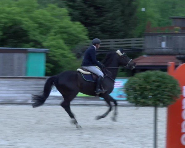 Reitturnier Schüpfheim 2025