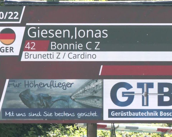 Reitturnier Jülich 2025