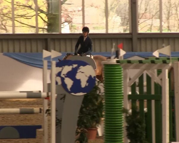 Hallen-Springturnier Greven 2014