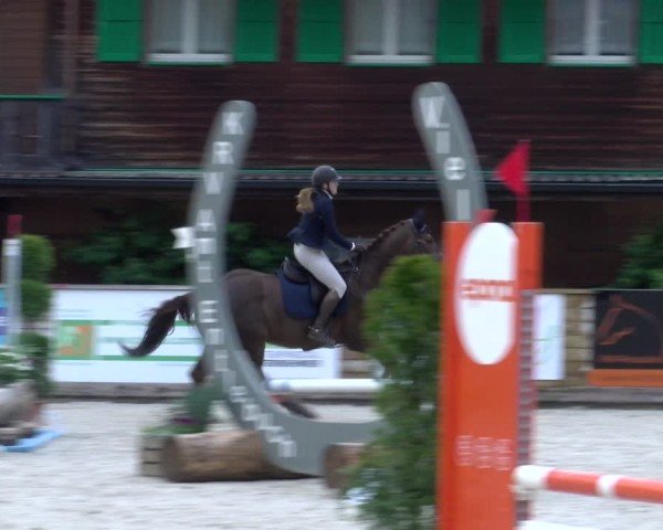 Reitturnier Schüpfheim 2025