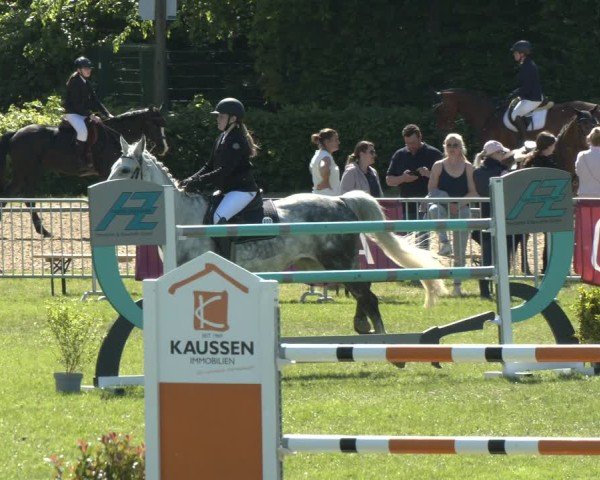 Reitturnier Jülich 2025
