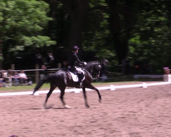 Reitturnier Helmsdorf 2025