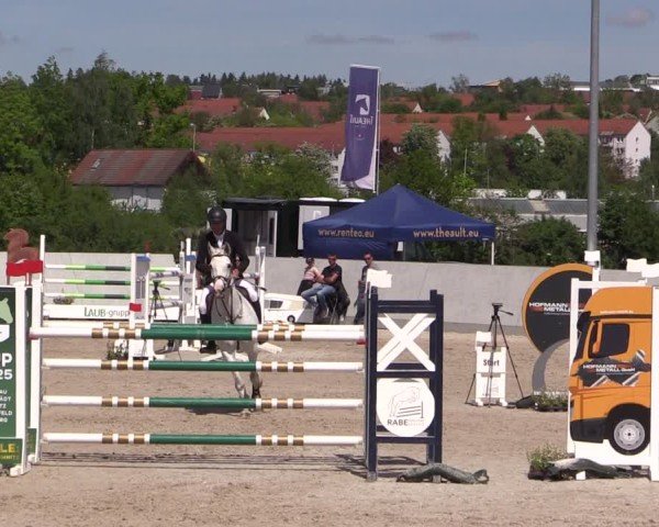 Reitturnier Zwickau 2025