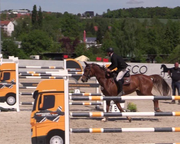Reitturnier Zwickau 2025