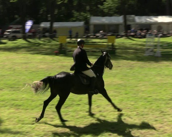 Reitturnier Helmsdorf 2025