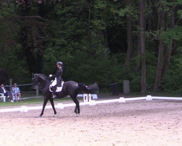 Reitturnier Helmsdorf 2025