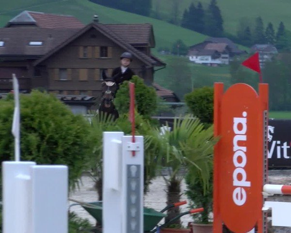 Reitturnier Schüpfheim 2025