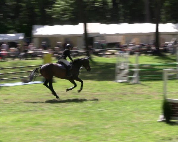 Reitturnier Helmsdorf 2025