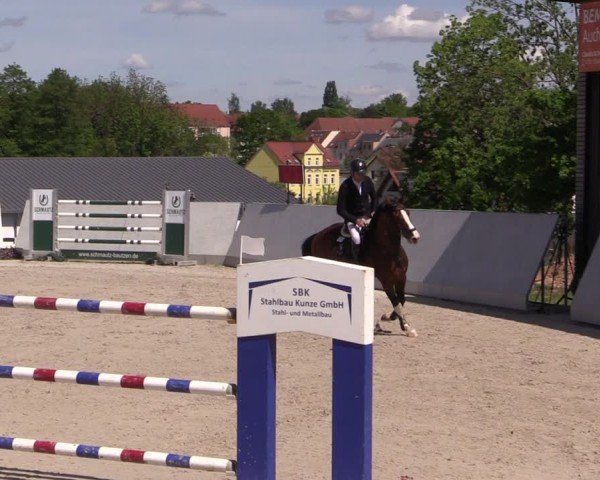 Reitturnier Zwickau 2025