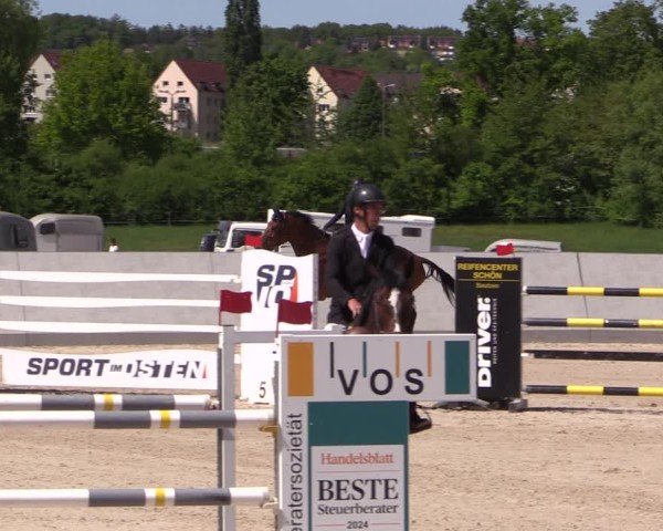 Reitturnier Zwickau 2025