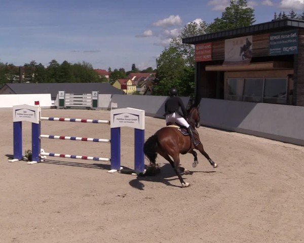 Reitturnier Zwickau 2025