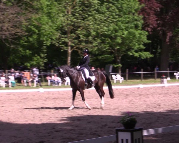 Reitturnier Helmsdorf 2025