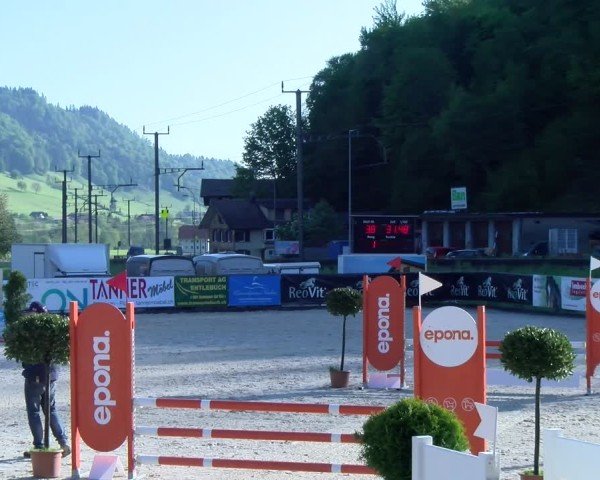 Reitturnier Schüpfheim 2025