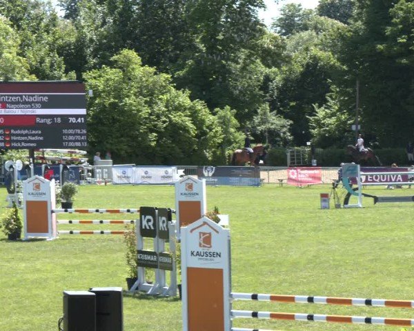 Reitturnier Jülich 2025