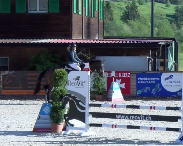 Reitturnier Schüpfheim 2025