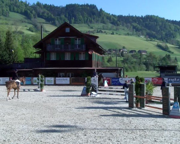 Reitturnier Schüpfheim 2025