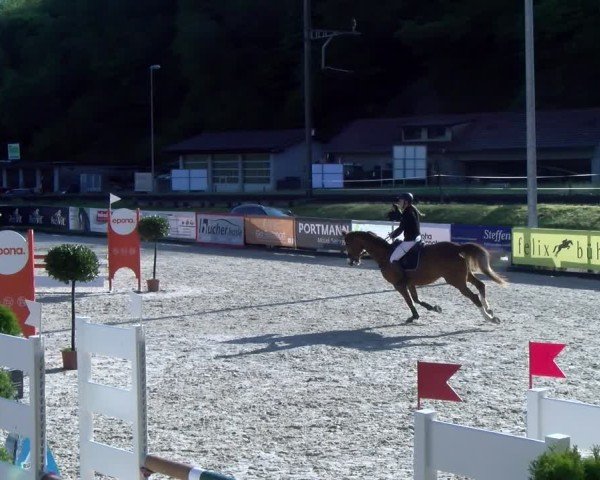 Reitturnier Schüpfheim 2025