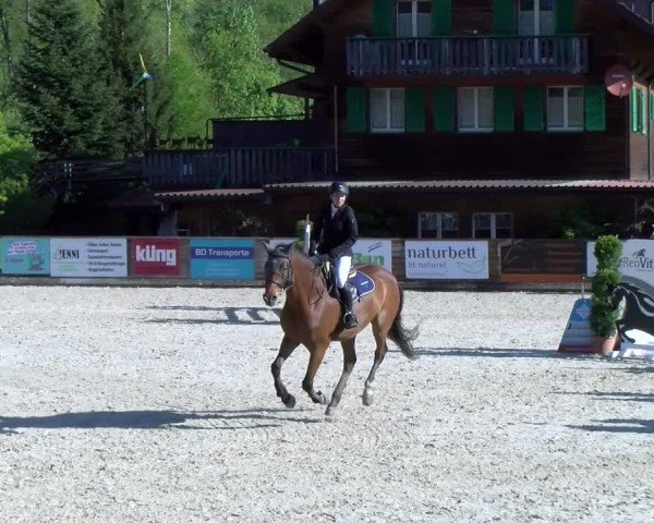 Reitturnier Schüpfheim 2025