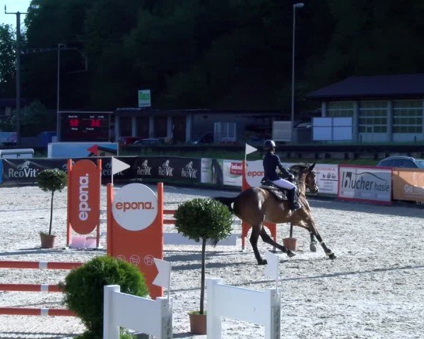 Reitturnier Schüpfheim 2025