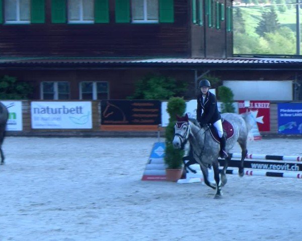 Reitturnier Schüpfheim 2025