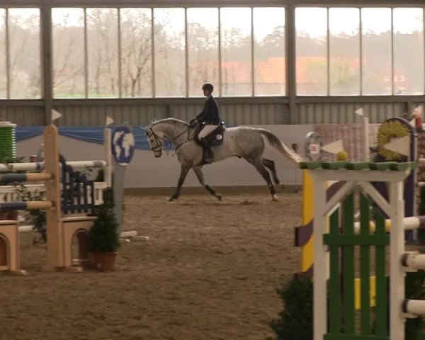 Hallen-Springturnier Greven 2014