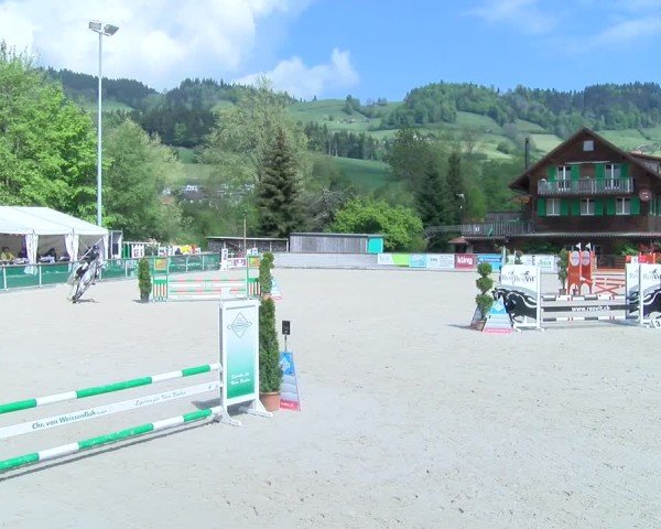 Reitturnier Schüpfheim 2025