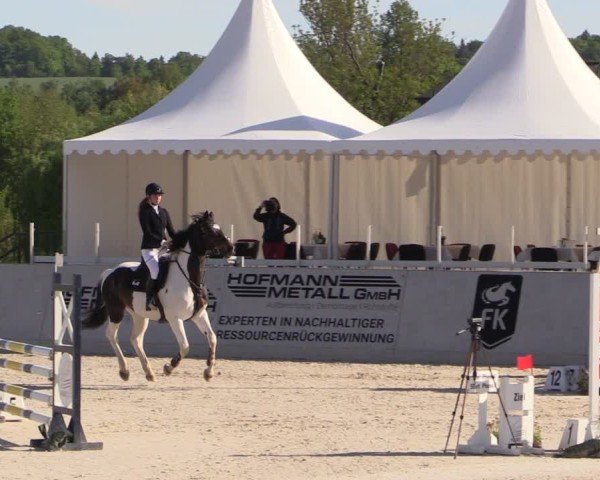 Reitturnier Zwickau 2025