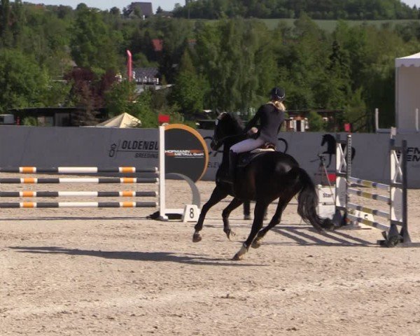 Reitturnier Zwickau 2025