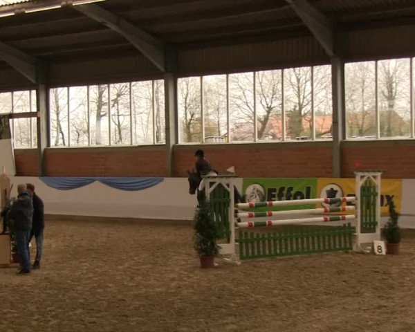 Hallen-Springturnier Greven 2014