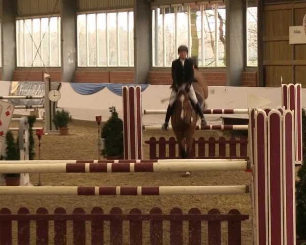 Hallen-Springturnier Greven 2014