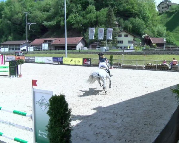 Reitturnier Schüpfheim 2025