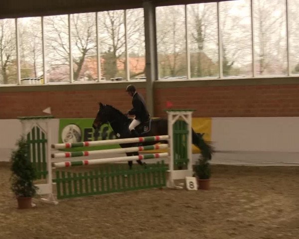 Hallen-Springturnier Greven 2014