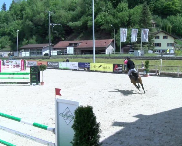 Reitturnier Schüpfheim 2025